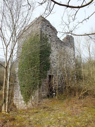 Visit To Nant Mine Engine House & Chimney