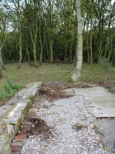 Waingroves Colliery Site (Photo ref 68075)