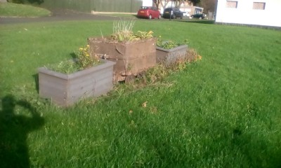 Walbottle duke Pit Flower beds