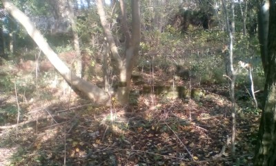 Duke pit remains