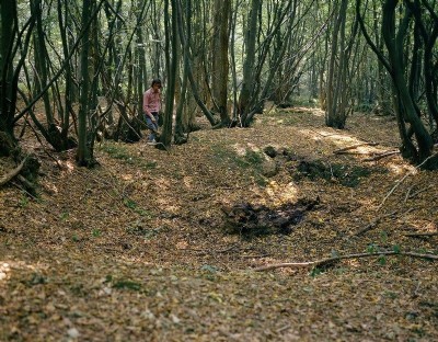 Historic Photographs Of Waldron Furnace