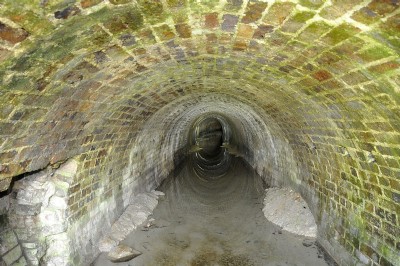 Photographs Of Walker's Earth