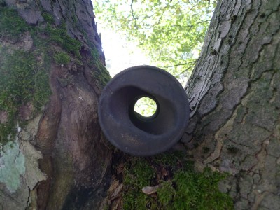 Photographs Of Walter Clough