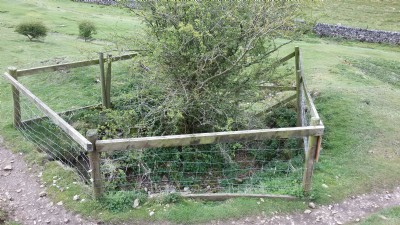 Photographs Of Wardlow Sough