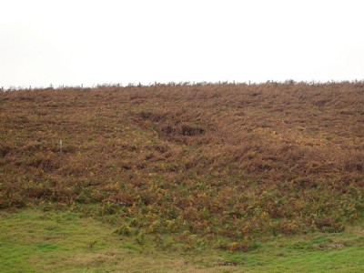 Trace of top seam drift.