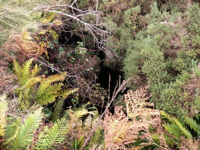 Top of upcast shaft..
