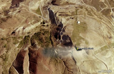 Photographs Of Washoe