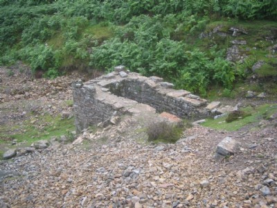 Photographs Of Washy Green