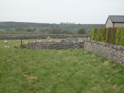 Photographs Of Watergrove
