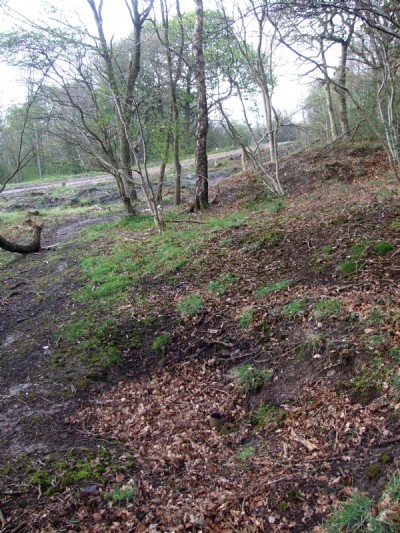 Old shaft