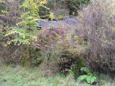 Wellington Colliery Tips