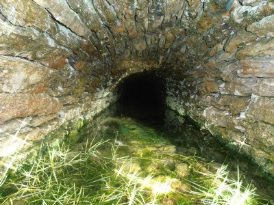 Wemyss