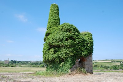 Smith's 24" whim engine house