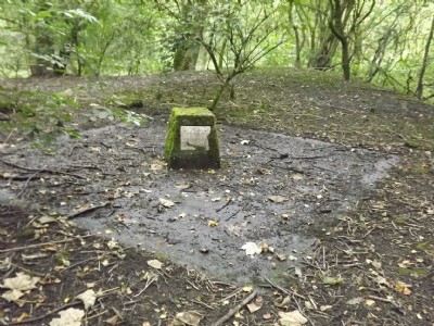 Photographs Of Wet Earth