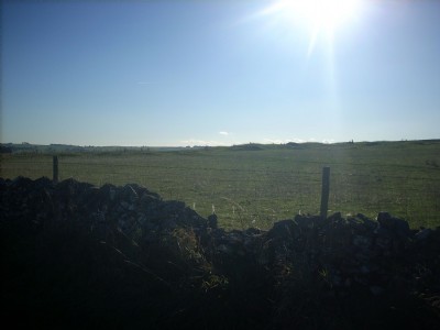 Photographs Of Whale Rake