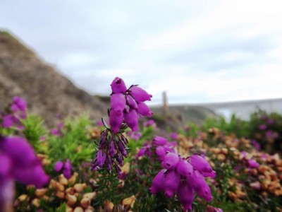 Photographs Of Wheal Coates (Photo ref 77114)
