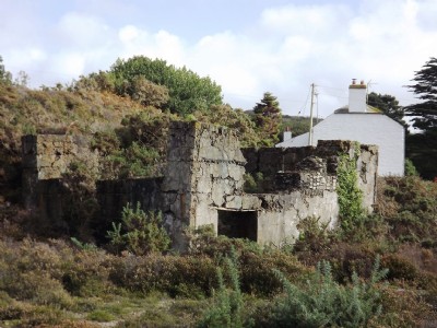 Photographs Of Wheal Ellen (Photo ref 91422)