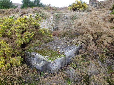 Wheal Ellen Visit