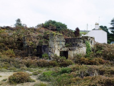 Wheal Ellen Visit (Photo ref 69963)