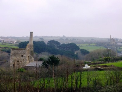 Wheal Friendly Visit (Photo ref 69969)