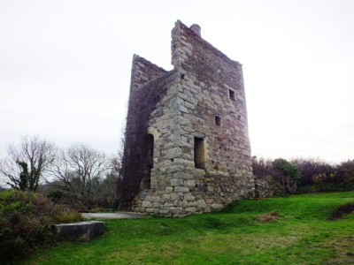 Wheal Friendly Visit (Photo ref 69976)