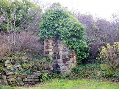 Wheal Friendly Visit