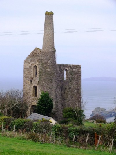 Wheal Friendly Visit (Photo ref 69980)