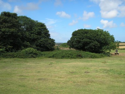 Kestal section