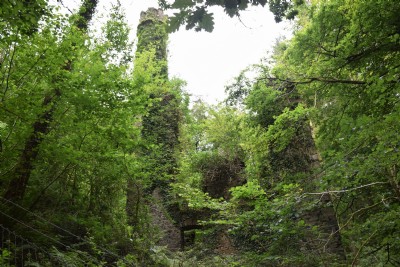 Photographs Of Wheal Glynn