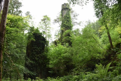 Wheal Glynn