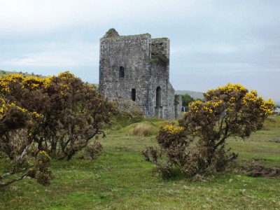 Wheal Jenkin Visit (Photo ref 75446)