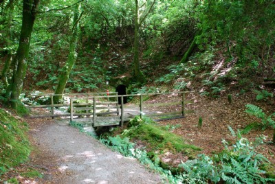 Photographs Of Wheal Martyn Country Park (Photo ref 37684)