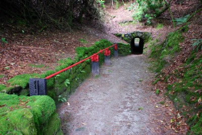 Flat rod tunnel