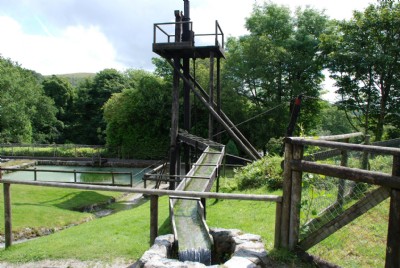 Photographs Of Wheal Martyn Country Park