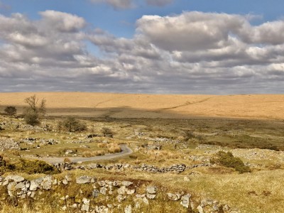 General View of Lower Site, Whiteworks