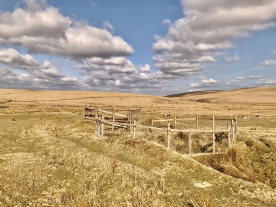 Fenced Adit Shafts, Whiteworks