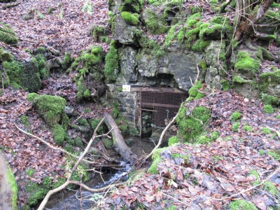 Photographs Of Widley Level