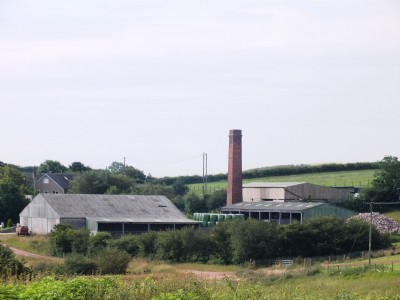 Photographs Of Woodbine