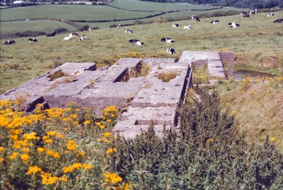 August 1999
