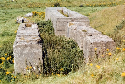 Yarlside August 1999