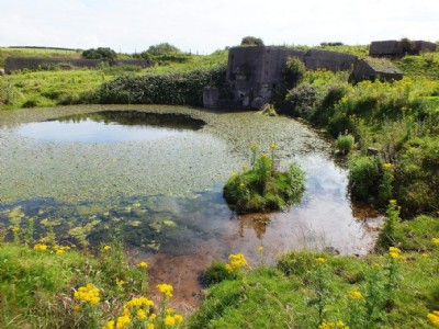 Yarlside Iron Mine Visit (Photo ref 78327)