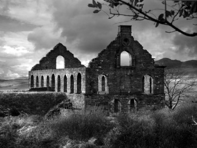 Photographs Of Ynys Y Pandy