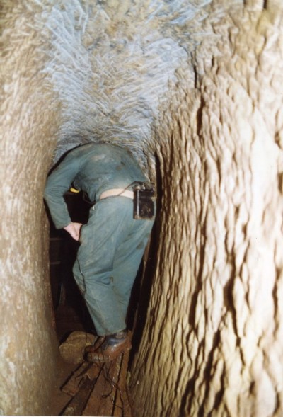 Inside coffin level